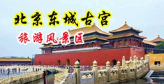 大鸡吧猛插小骚逼视频中国北京-东城古宫旅游风景区